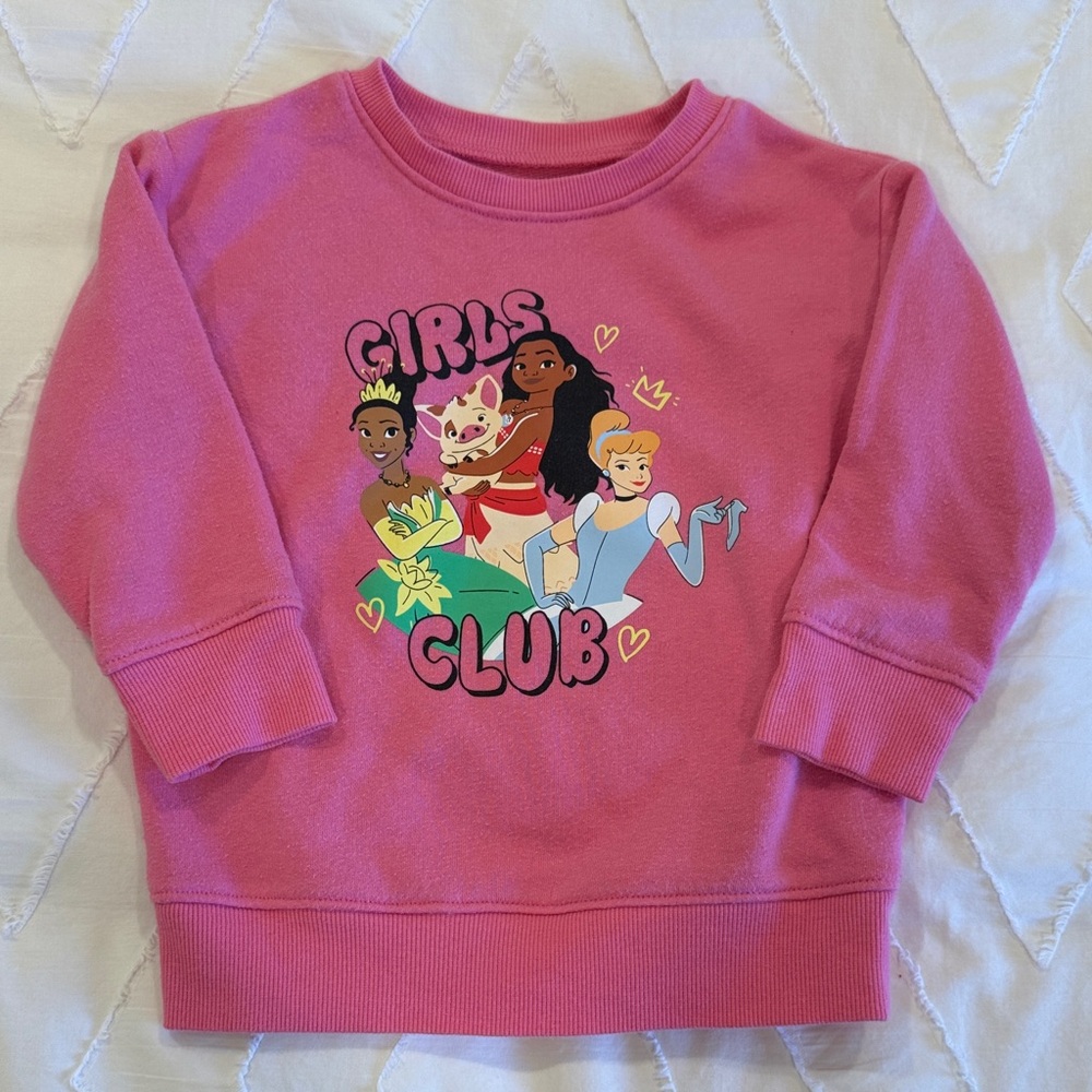 Disney princess sweatshirts 2t
